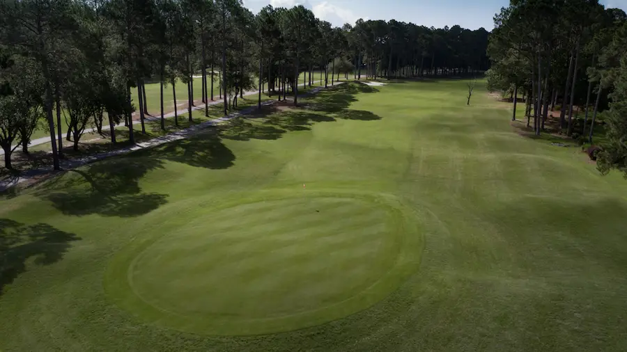 Sea Trail – Rees Jones Course, view 5